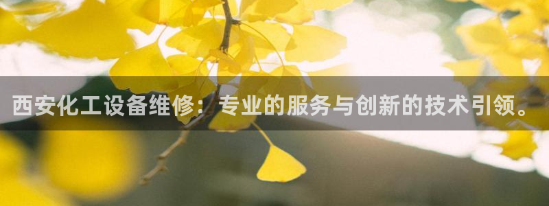 新宝gg注册账号