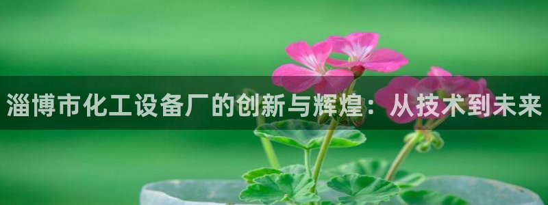 新宝gg平台注册登录指南