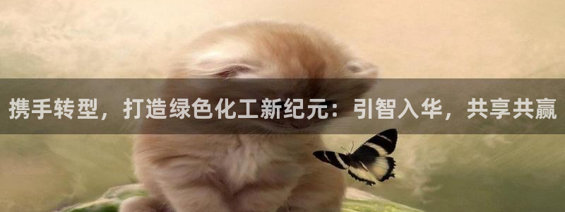 新宝GG创造奇迹：携手转型，打造绿色化工新纪元：引